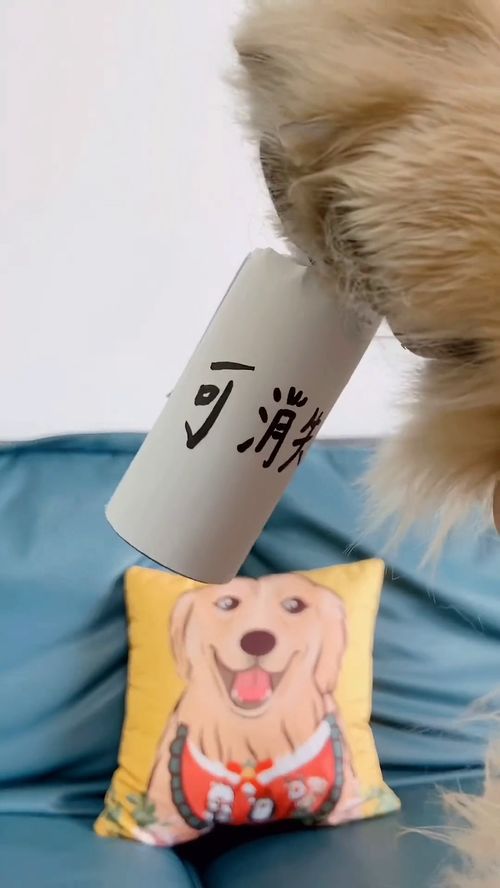 四毛,你也有百密一疏的時候,差點被你混過去..怎么也沒想到,四毛居然站在毛媽那一邊