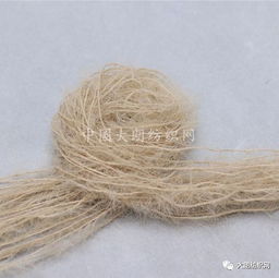 紡彩紡織雪尼爾絨系列