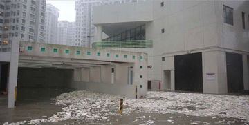 山竹過后令人毛骨悚然的一幕,不得不為人類的未來擔憂