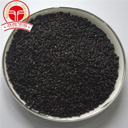 精選芝麻加工磨粉代餐粉，全方位供應信息與專業加工服務指南